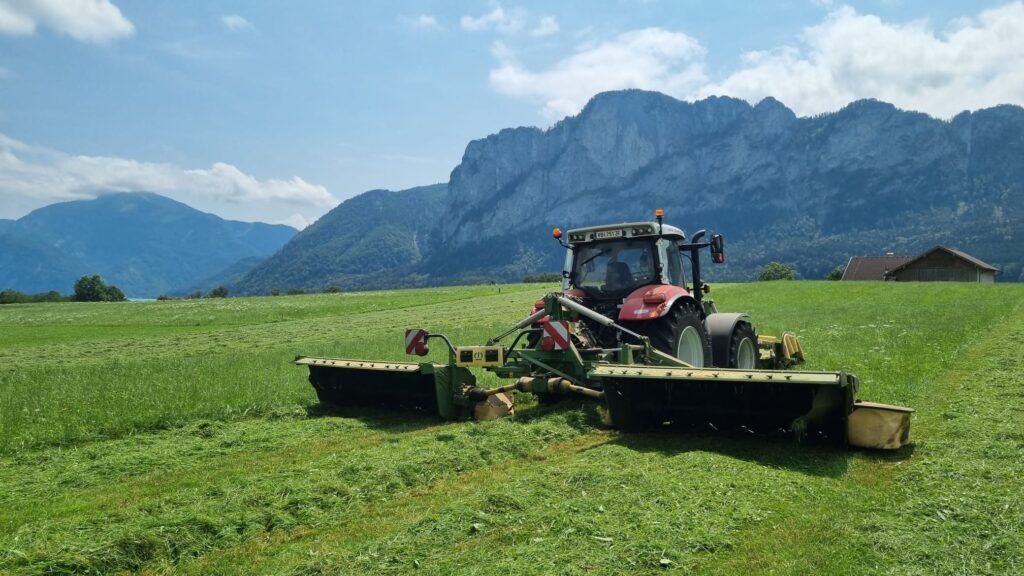 Mähen mit Schmetterling