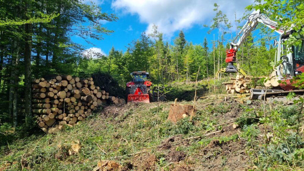 Baumarbeiten mit Bagger und Traktor
