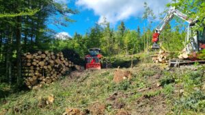 Baumarbeiten mit Bagger und Traktor