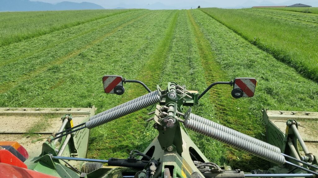 Mähen mit Schmetterling