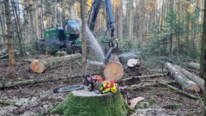 Baumarbeiten mit dem Harvester