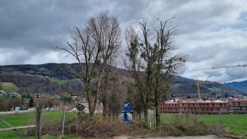Baumarbeiten