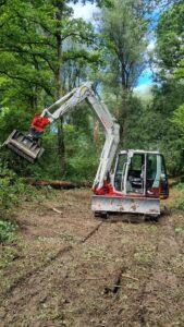 Baumarbeiten mit Bagger