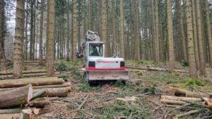 Baumarbeiten mit dem Bagger