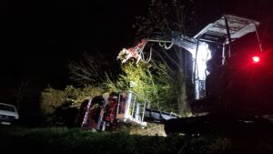 Holzarbeiten mit dem Bagger