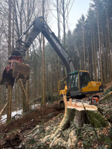 Forstarbeiten_3