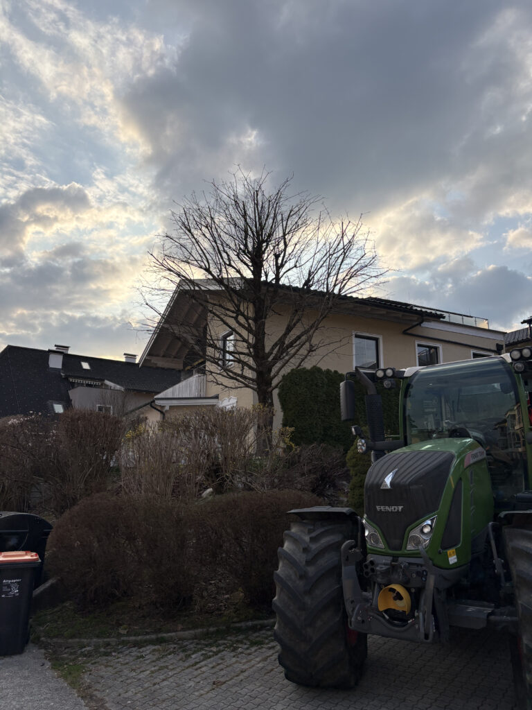Baumarbeiten