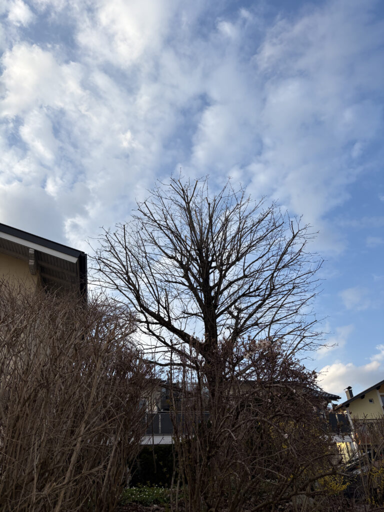Baumarbeiten