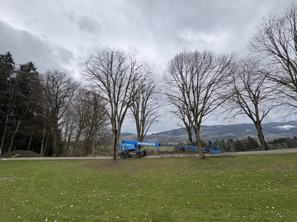 Baumarbeiten