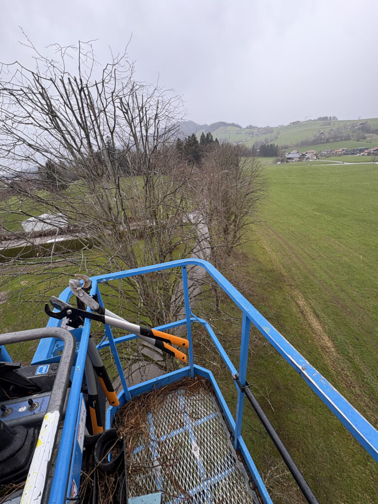 Baumarbeiten