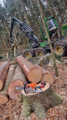 Baumarbeiten mit Harvester